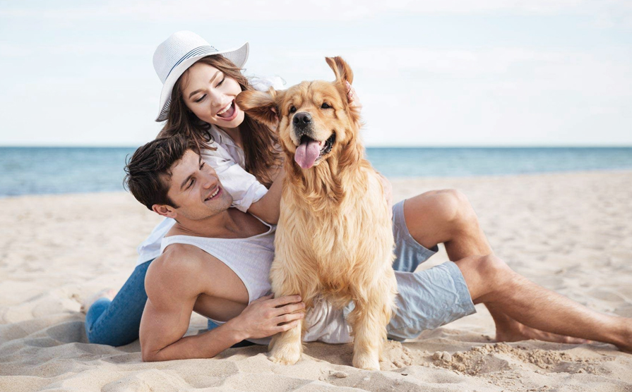 Spiagge Per Cani In Toscana Villaggio Turistico Follonica