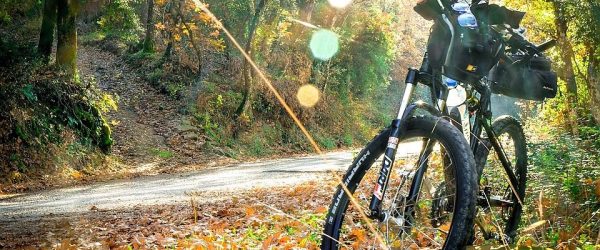 Ferienhaus toskana Urlaub am meer – September Angebot Gratis Fahrrad